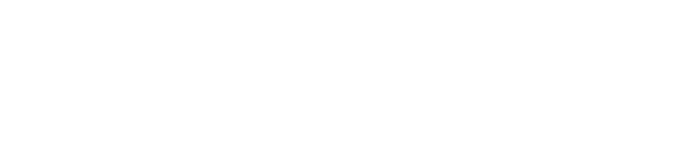 Avioni Technologies