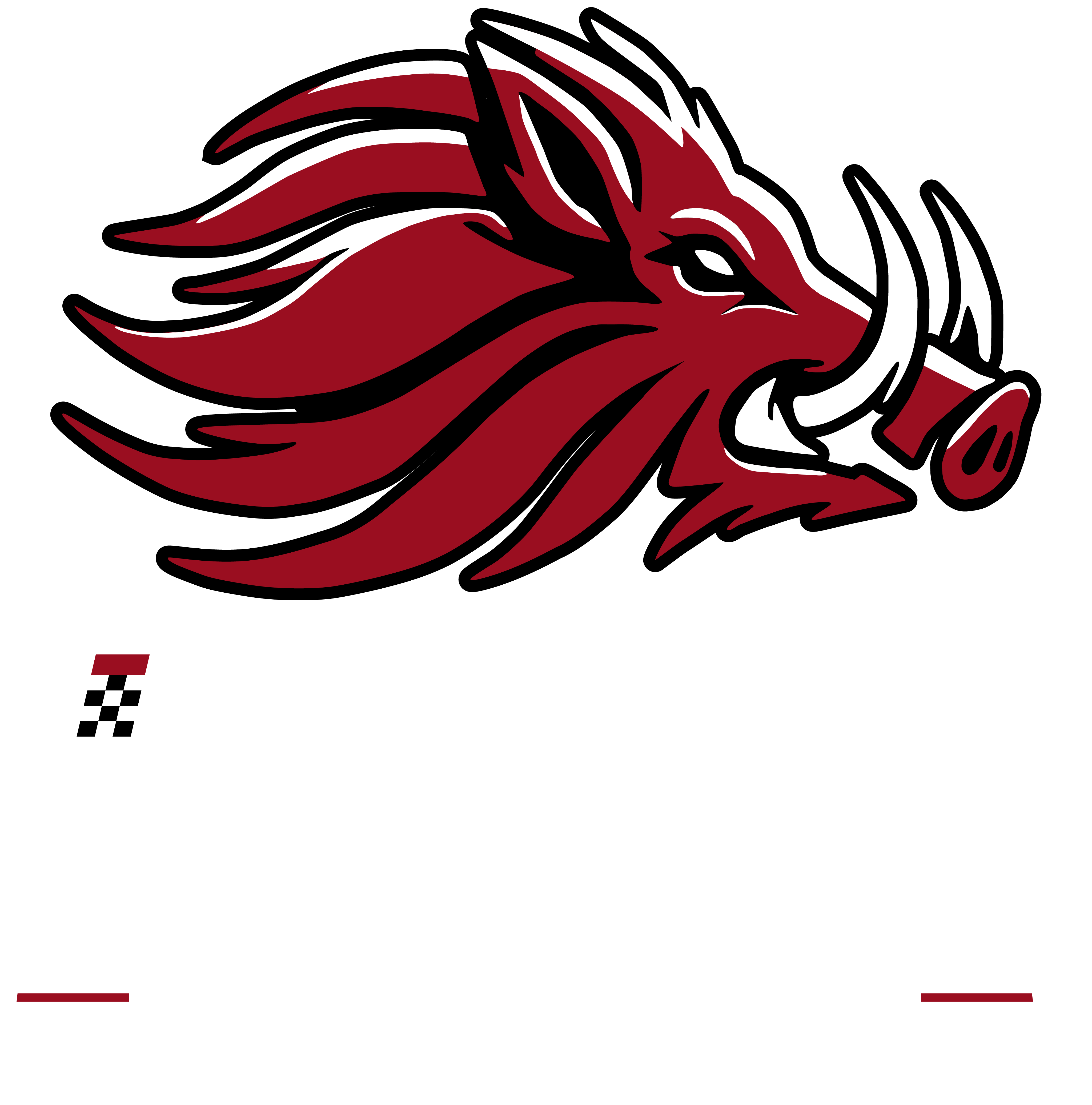 IZTECH RACING Website